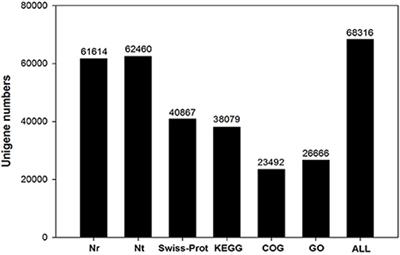 Transcriptome and Differential Expression Profiling Analysis of the Mechanism of Ca2+ Regulation in Peanut (Arachis hypogaea) Pod Development